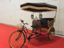 2 Passenger Model Solar Electric Rickshaw WDF-011